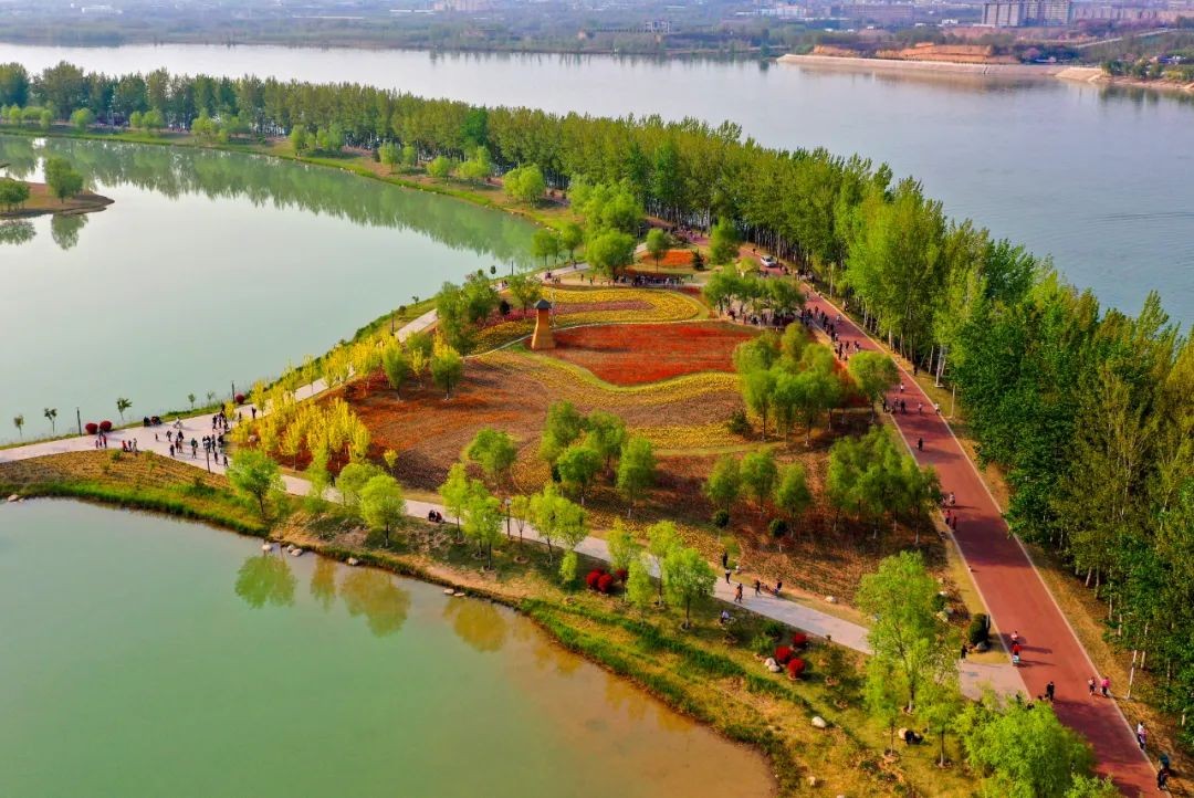 2023三门峡白天鹅旅游季攻略-大象网