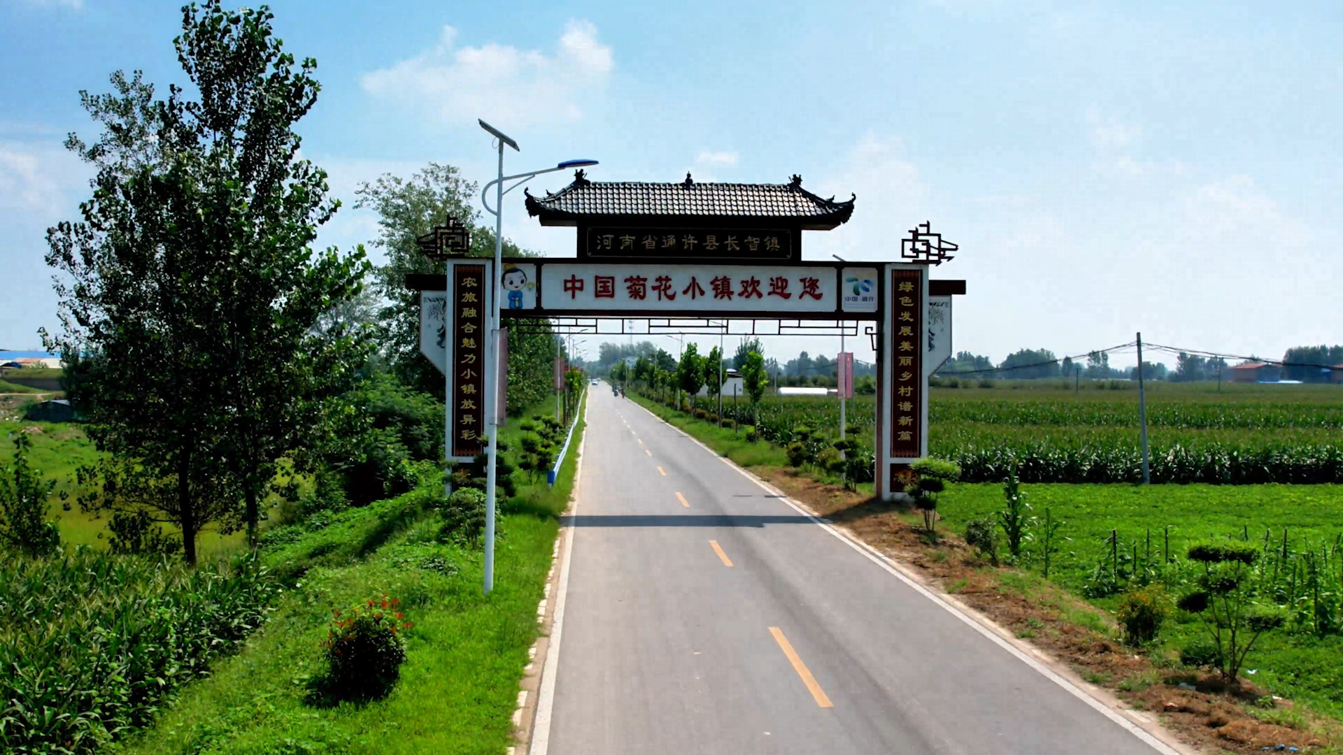 开封市通许县争创五星支部助推乡村振兴