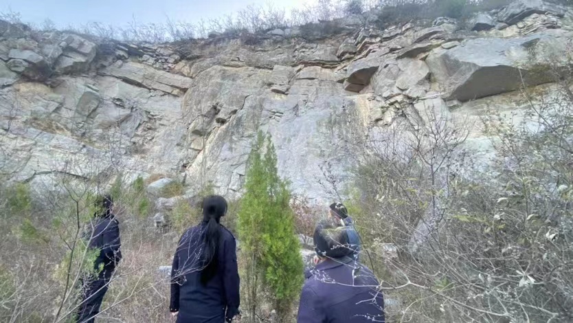羊群“组团”走失  民警翻山找回