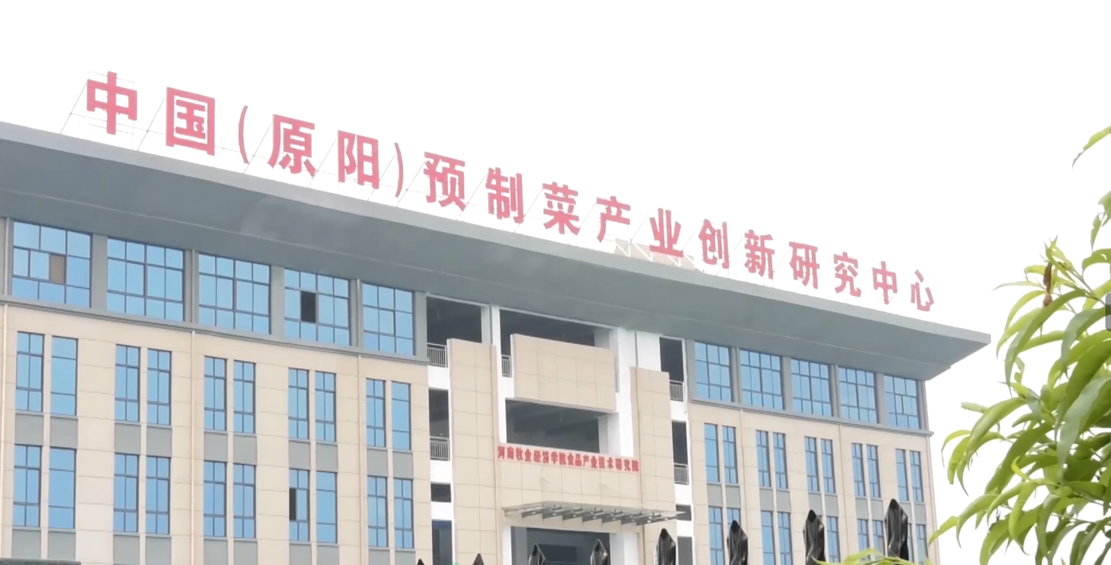 原阳县成功入选赛迪研究院发布的"全国十大预制菜产业基地",通过5个一