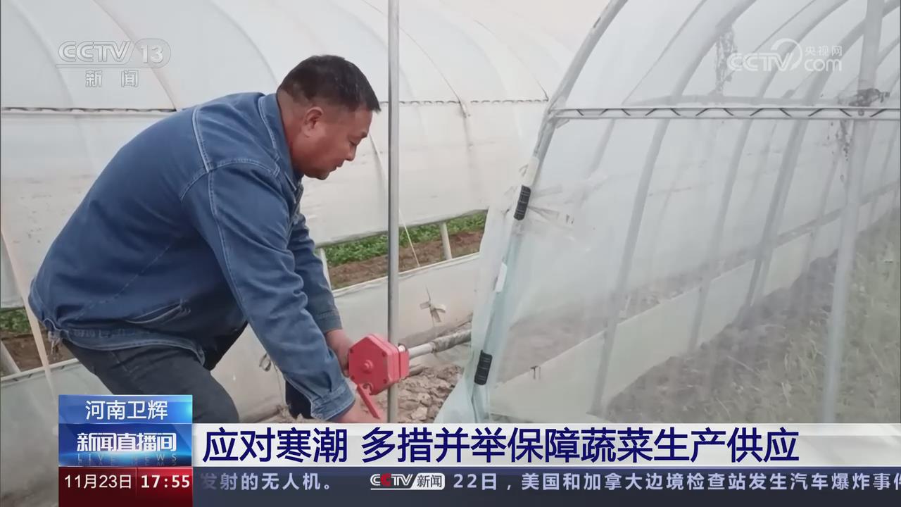 【央視關注河南衛輝】應對寒潮 多措并舉保障蔬菜生產供應