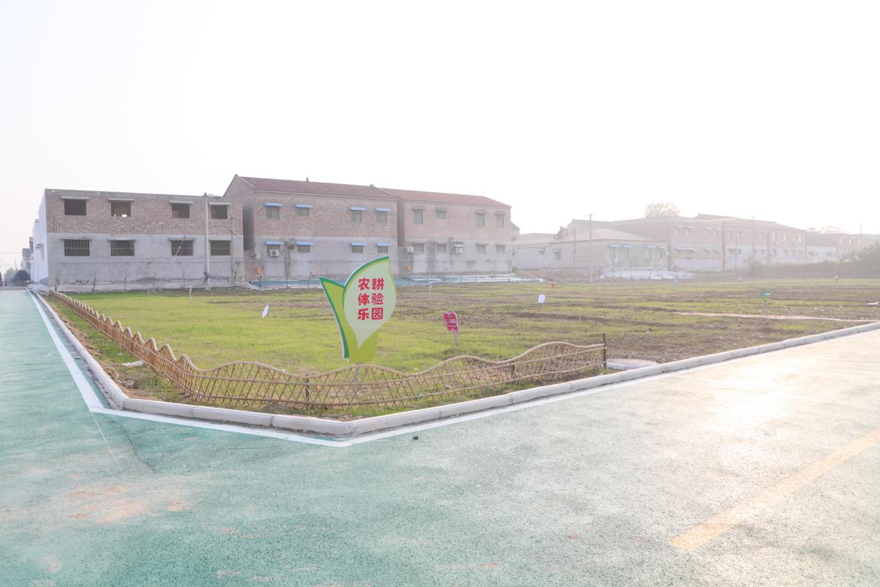 焦作市文昌街道全力打造示范村样板引领推动乡村振兴