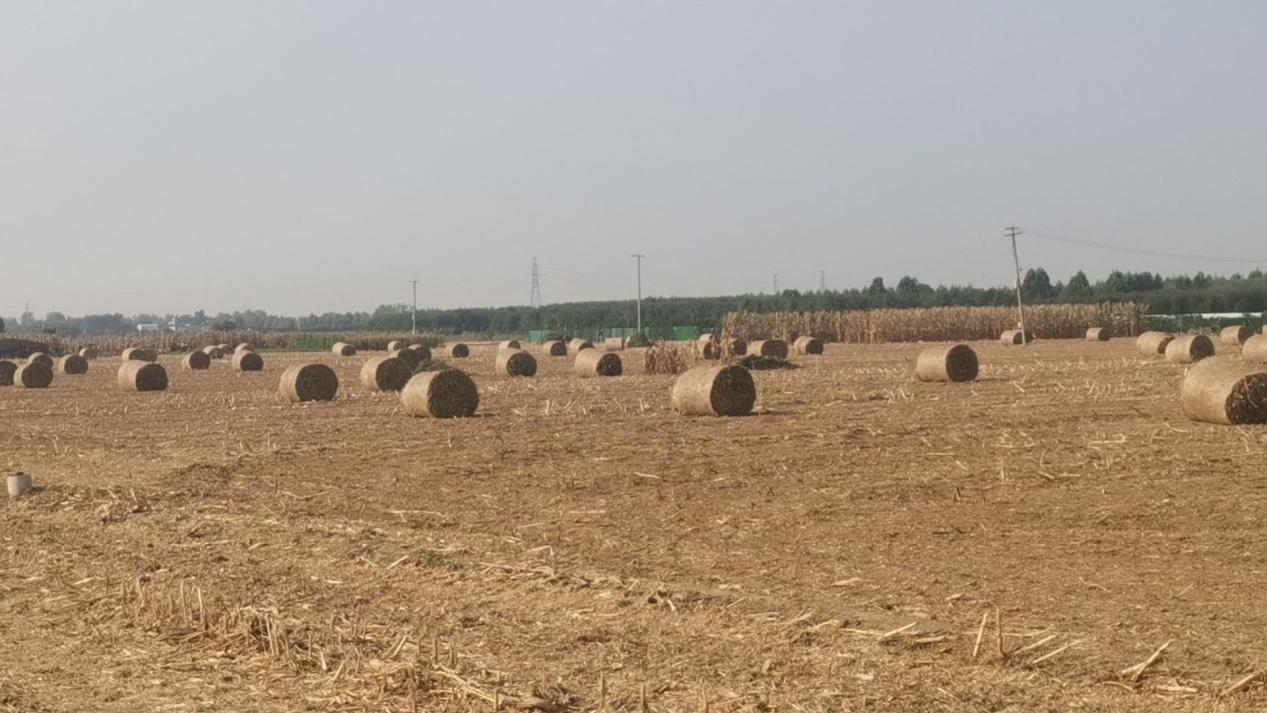 方城赵河镇:筑牢秋季秸秆禁烧安全防线助推"五星"支部创建-大象网