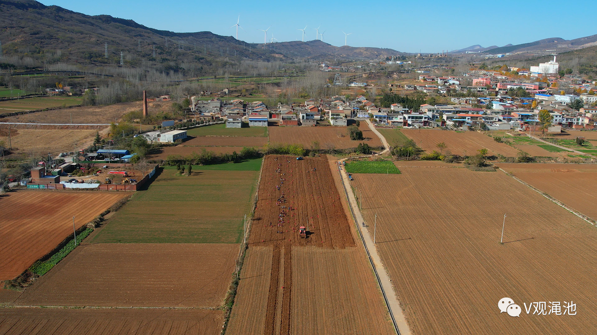 河南渑池小小生地黄致富香饽饽