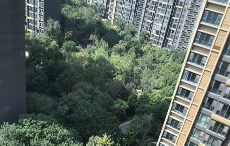 聚焦“三大工程” 金融支持房地产力度加大