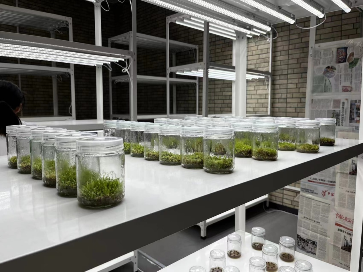 秦岭国家植物园实验室长这样