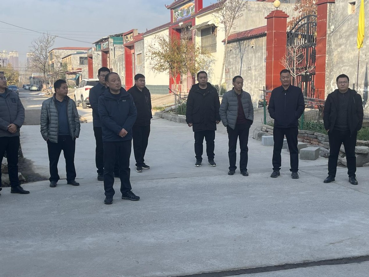 新乡市原武镇观摩验成效评比促提升