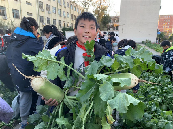 郑州高新区南流小学举行萝卜丰收节活动