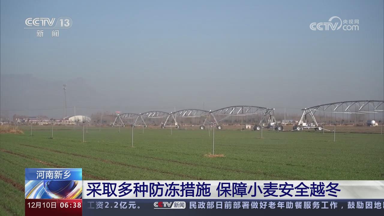 【央視關(guān)注河南新鄉(xiāng)】采取多種防凍措施 保障小麥安全越冬