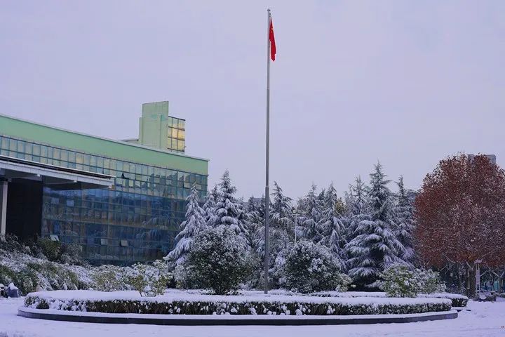 郑州财经下雪（郑州财经学院名声怎么样） 郑州财经下雪（郑州财经学院名声怎么样）《郑州财经学院昨天》 财经新闻
