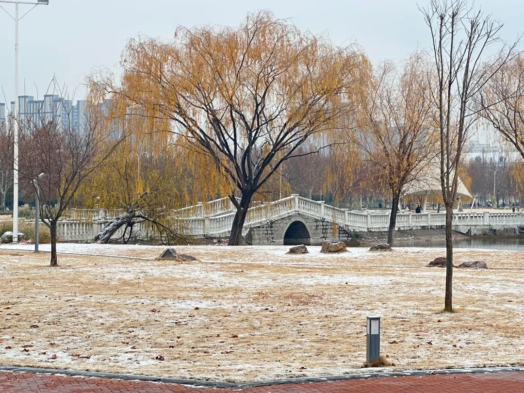 河南财经下雪（河南财经怎么了） 河南财经下雪（河南财经怎么了）《河南财经的瓜》 财经新闻