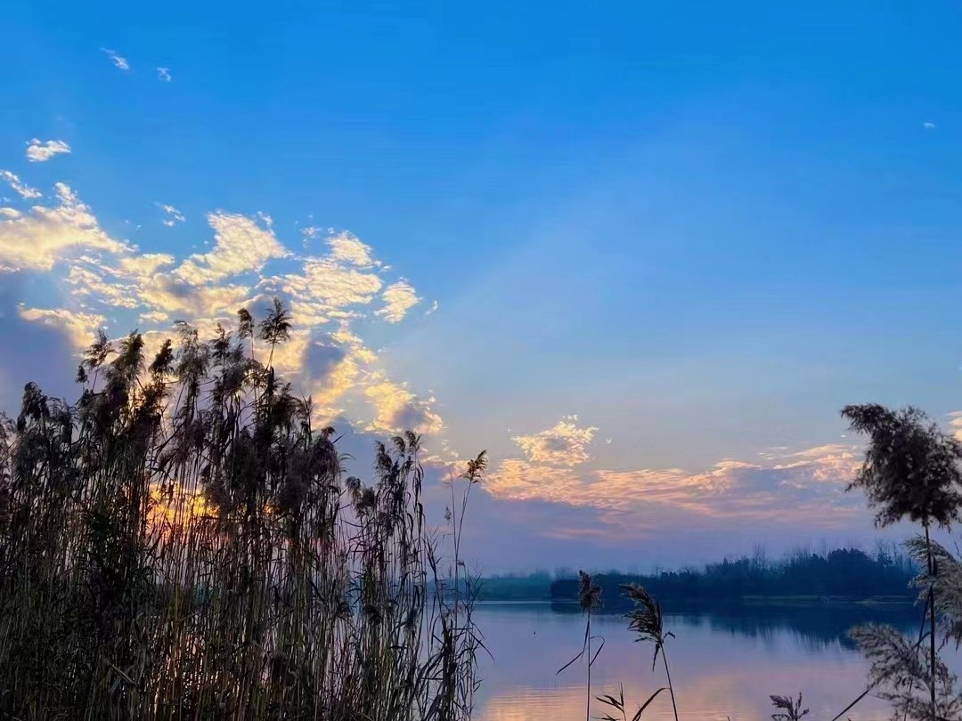 图集信阳潢川邂逅冬日美拉德