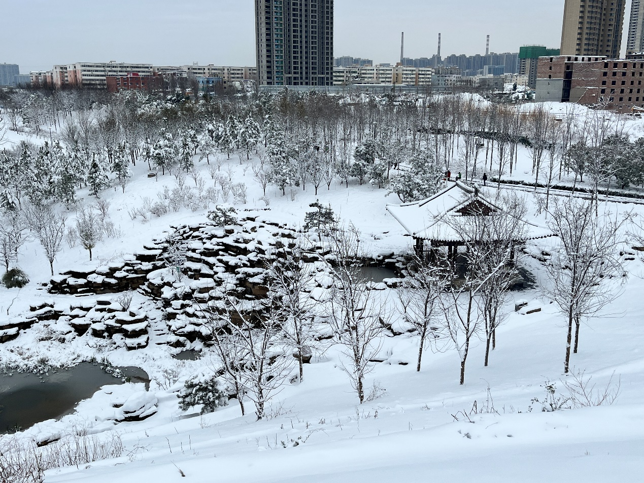 郑州的下雪天不但有美丽的雪景还有他们的最美坚守