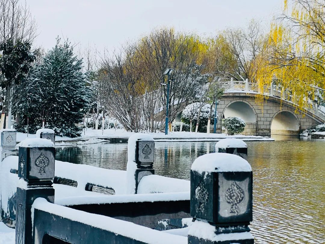 下雪了河南高校开启雪景刷屏模式