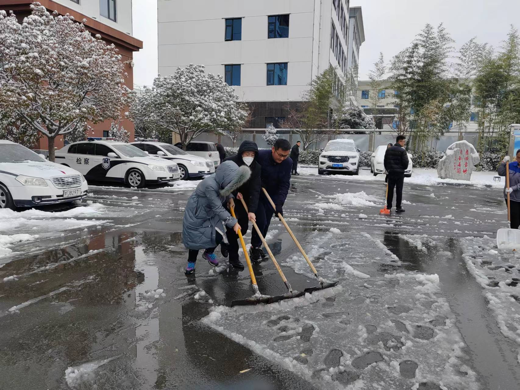 "12月11日,清丰县迎来了年终的一场大雪,整个城市目光所及白雪皑皑