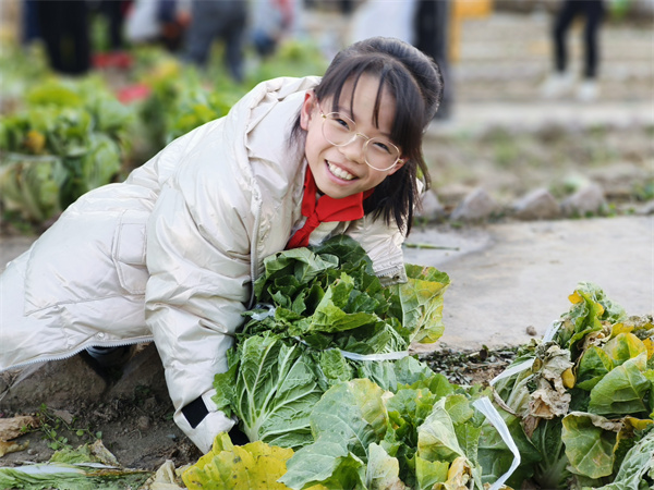 郑州高新区南流小学开展劳动实践活动