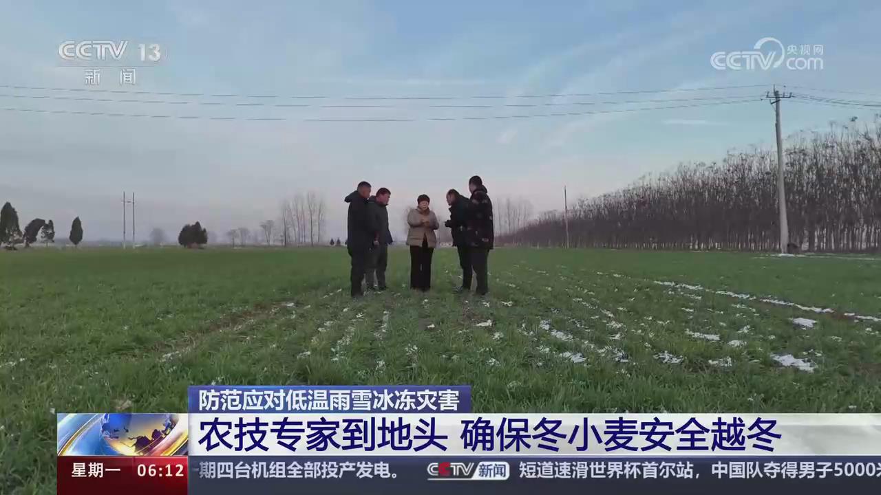 【央視關(guān)注河南項城】農(nóng)技專家到地頭 確保冬小麥安全越冬