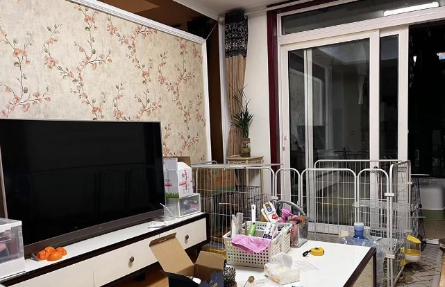 住不进校内的专硕生：有人一年房租是学费的三倍