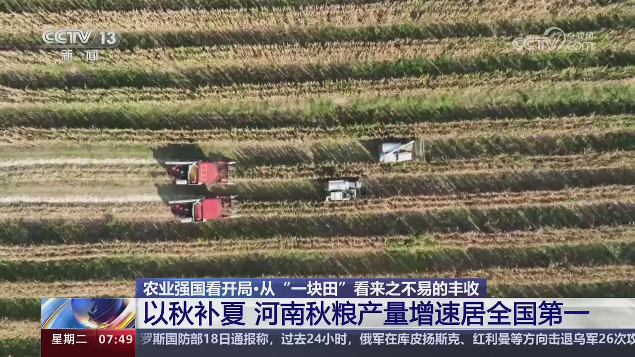 【央視關(guān)注河南】以秋補夏 河南秋糧產(chǎn)量增速居全國第一