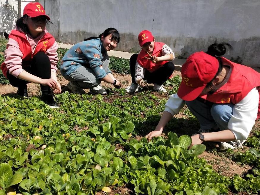首页>乡村频道·播报河南>正文>该校校长夏训生介绍,上石桥一中紧紧