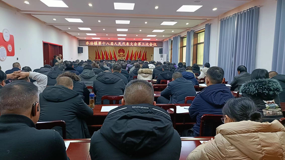 安阳市殷都区水冶镇第十八届人民代表大会第三次会议胜利召开