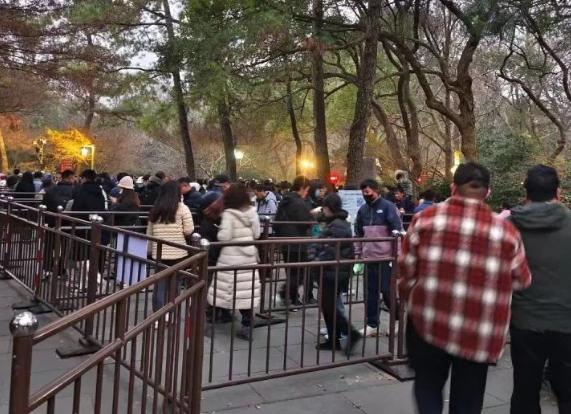 红到发紫 灵隐寺新年一早开启人从众模式