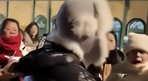 哈尔滨男子骗游客玩雪圈漂移被抓，网友：报位置，清理门户