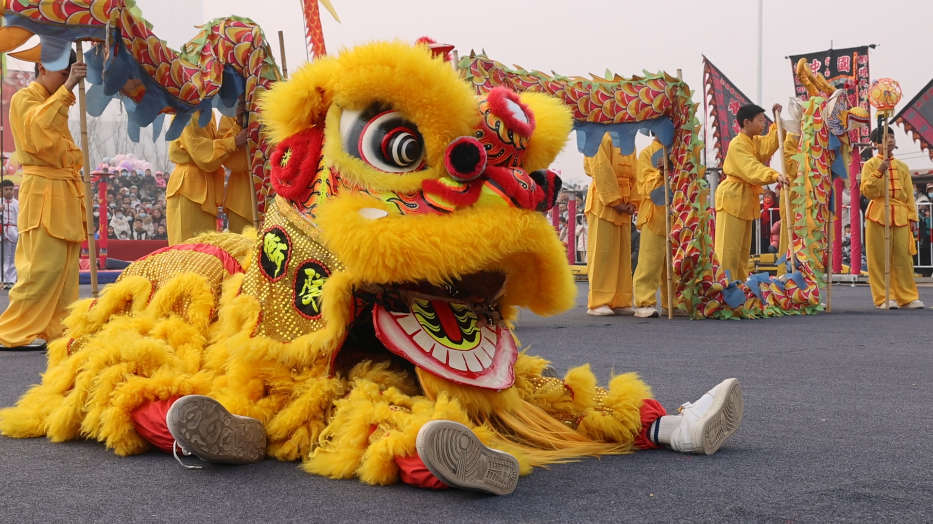 真热闹新乡市首届舞龙舞狮大赛开赛