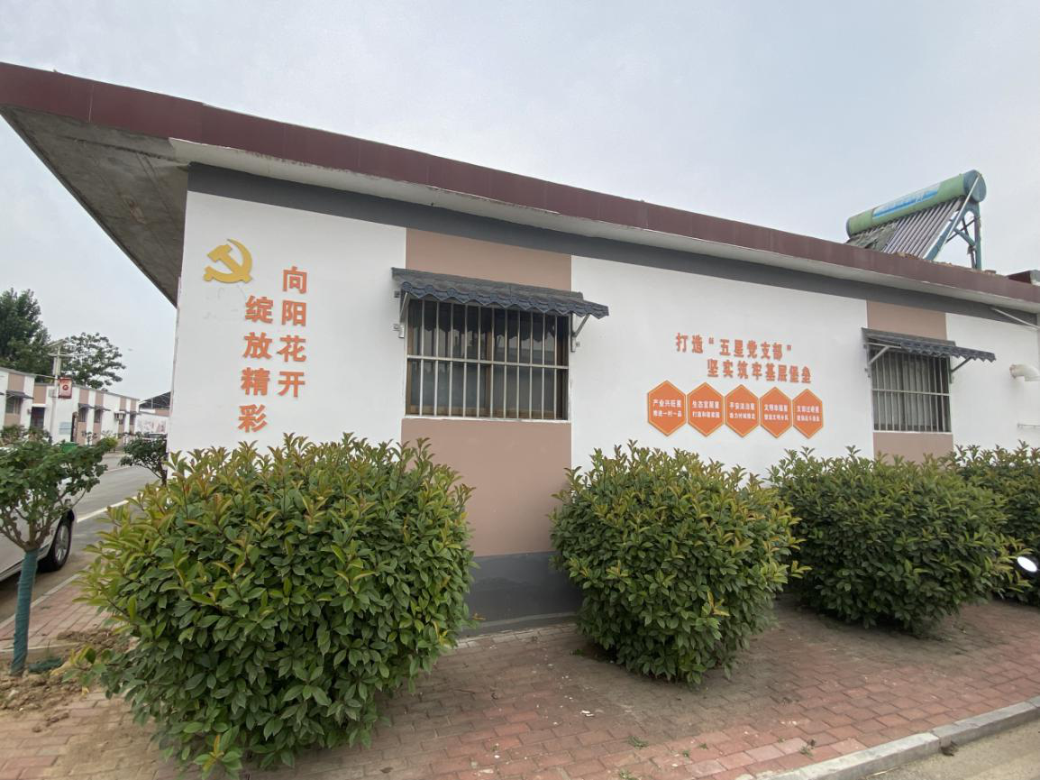 安阳汤阴宜沟镇五星支部创建带来的华丽蝶变