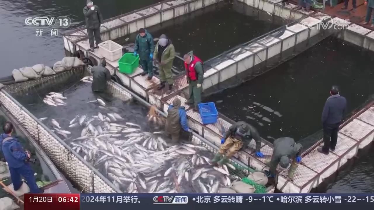 【央視關(guān)注河南信陽】冬捕季開啟 漁民忙起網(wǎng)