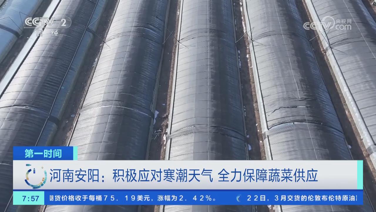 【央視關(guān)注河南安陽】積極應對寒潮天氣 全力保障蔬菜供應