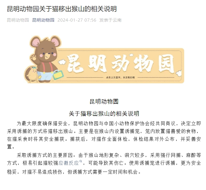 昆明动物园：决定立即采用诱捕的方式将猫移出猴山