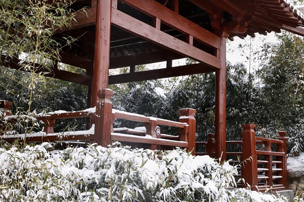 公园里的雪景图片图片