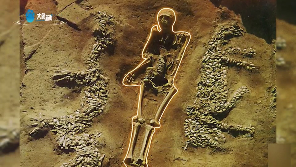 龙出河南濮阳蚌塑龙中国龙的正宗祖先