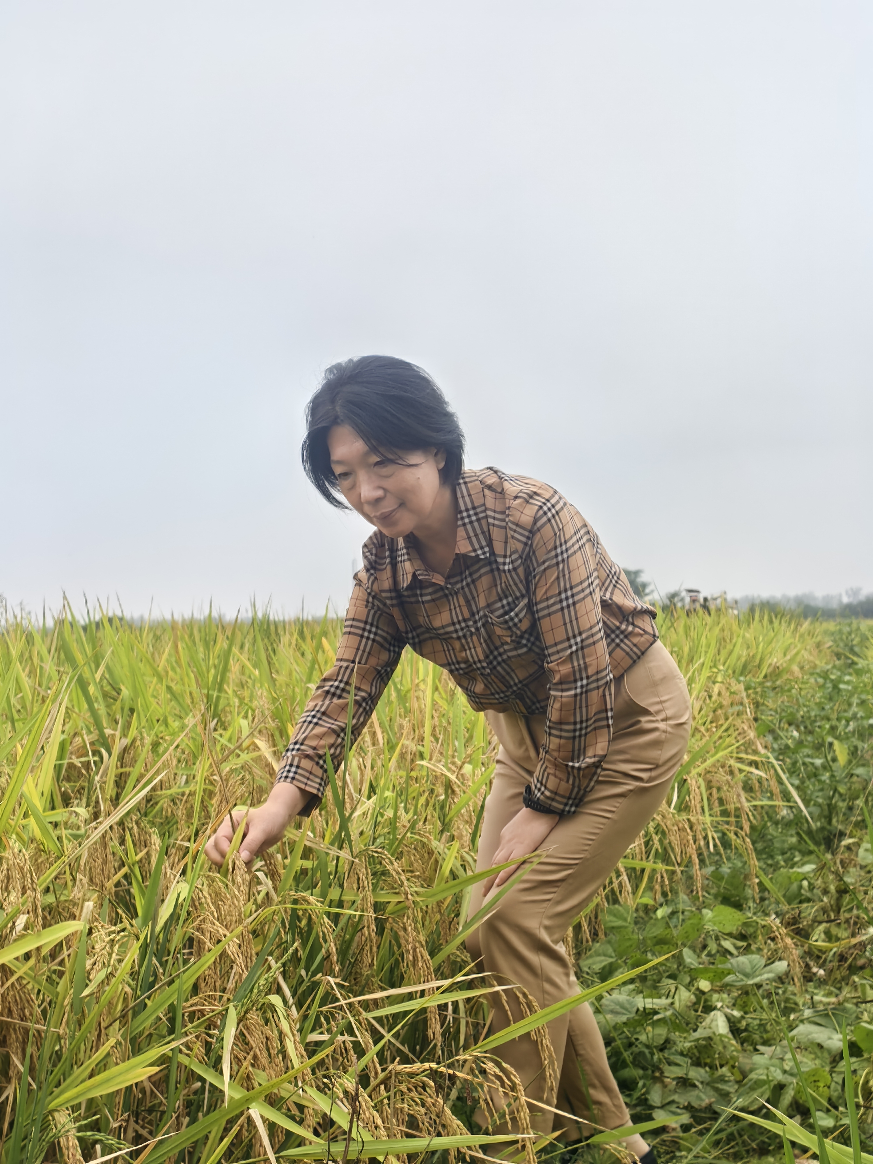 挂职女县长日记