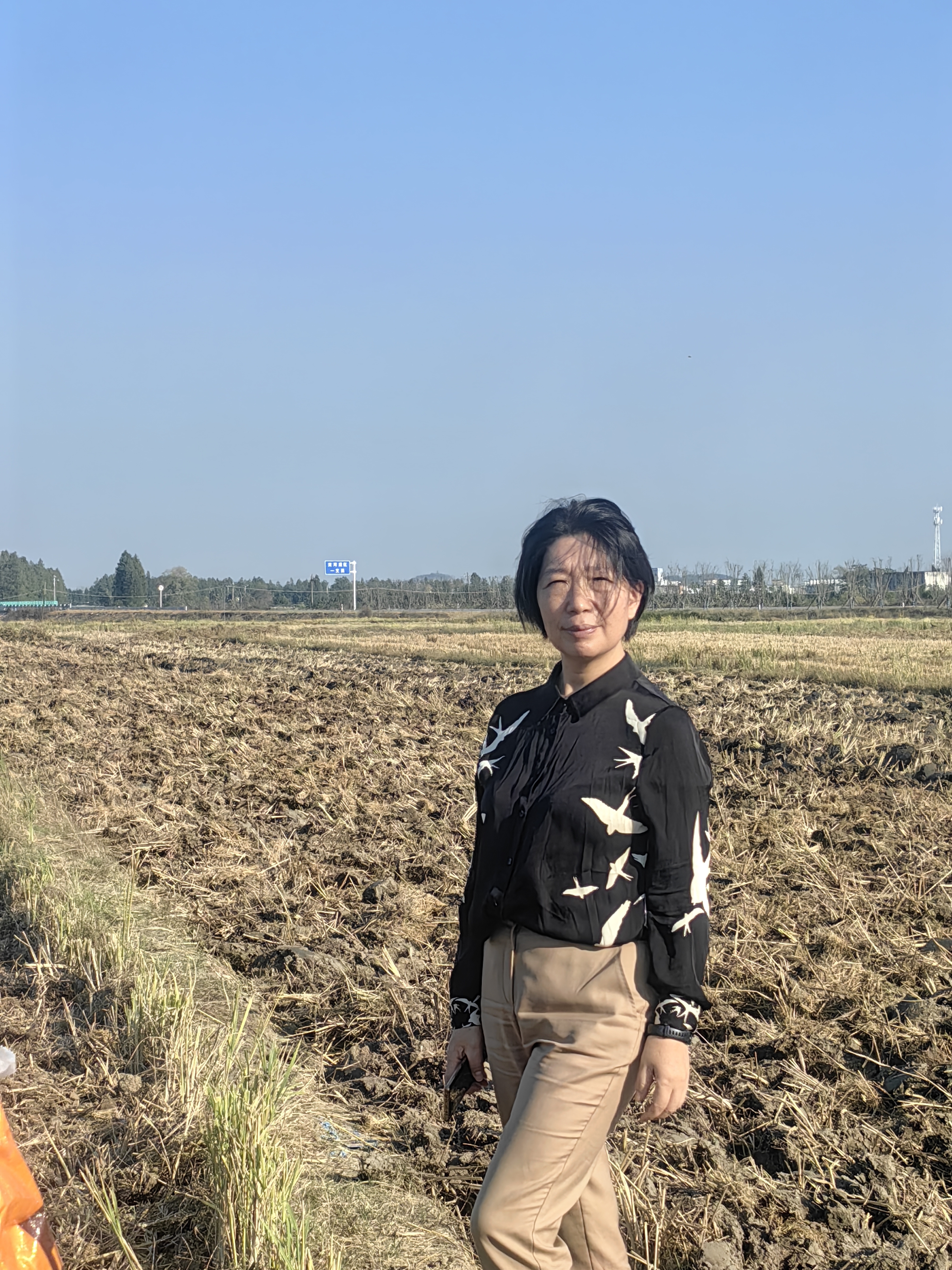 挂职女县长日记提升民众金融素养推进普惠金融高质量发