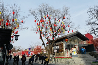 火热的春节消费市场为中国经济乘势而上开了好头