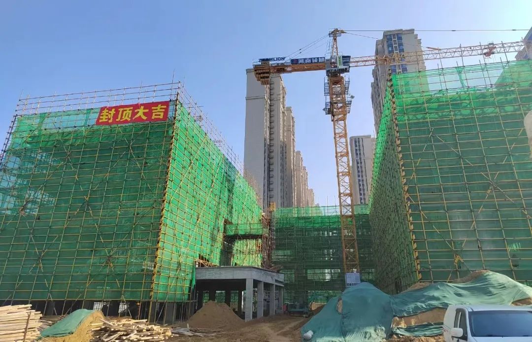 半岛电竞映象新闻(图2)