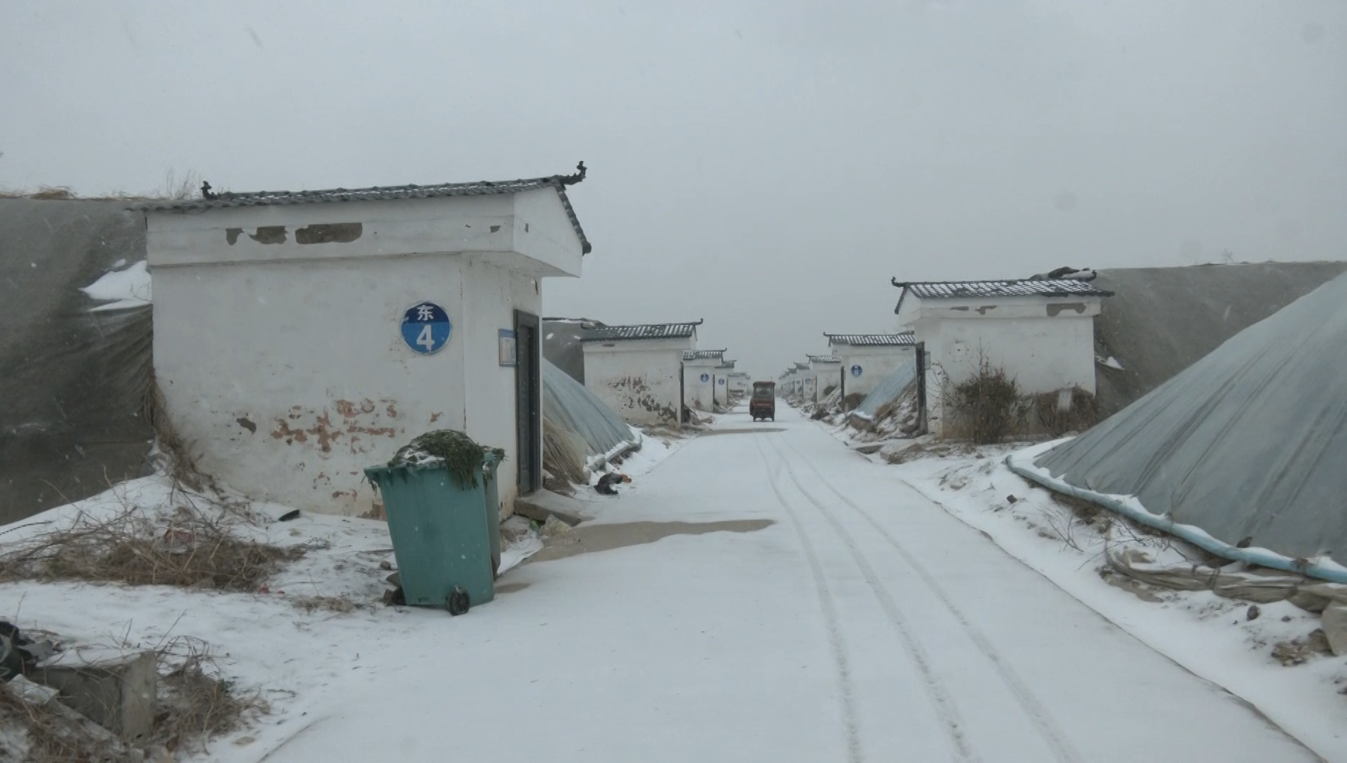 新乡延津县应对寒潮保驾护航农业生产