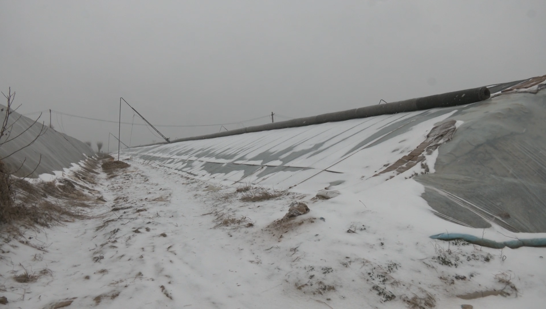 新乡延津县应对寒潮保驾护航农业生产