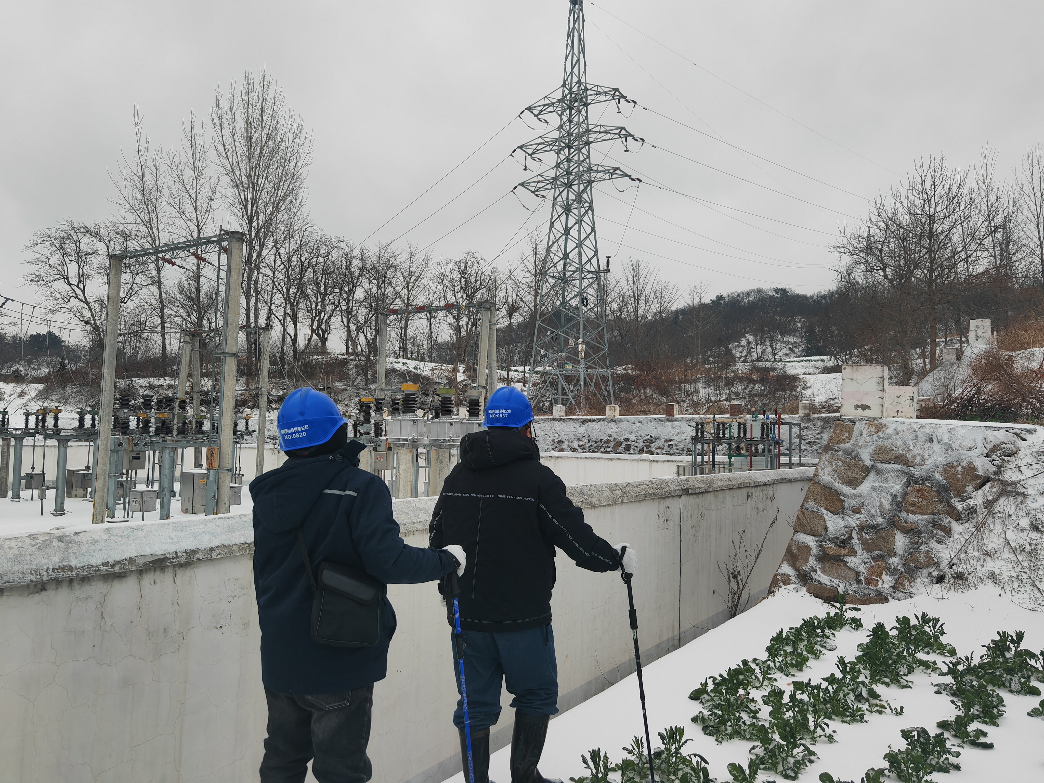 罗山县供电公司：踏雪巡线 守护电网安全