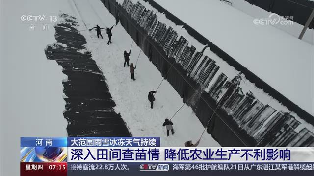 【央視關(guān)注河南】深入田間查苗情 降低不利影響