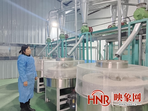 平顶山卫东区黑小麦面粉供不应求，程庄村找准路子土生金