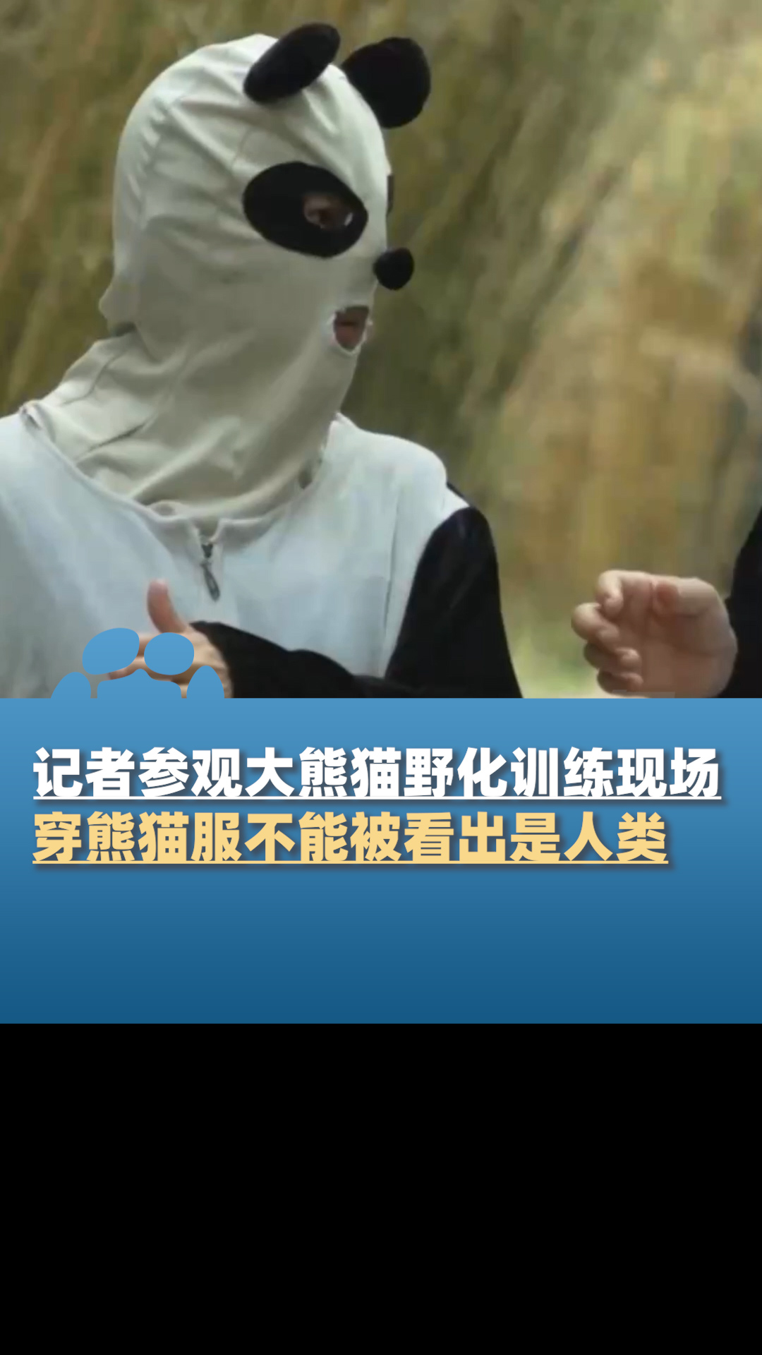 记者参观大熊猫野化训练现场,要穿上熊猫服不能被看出是人类