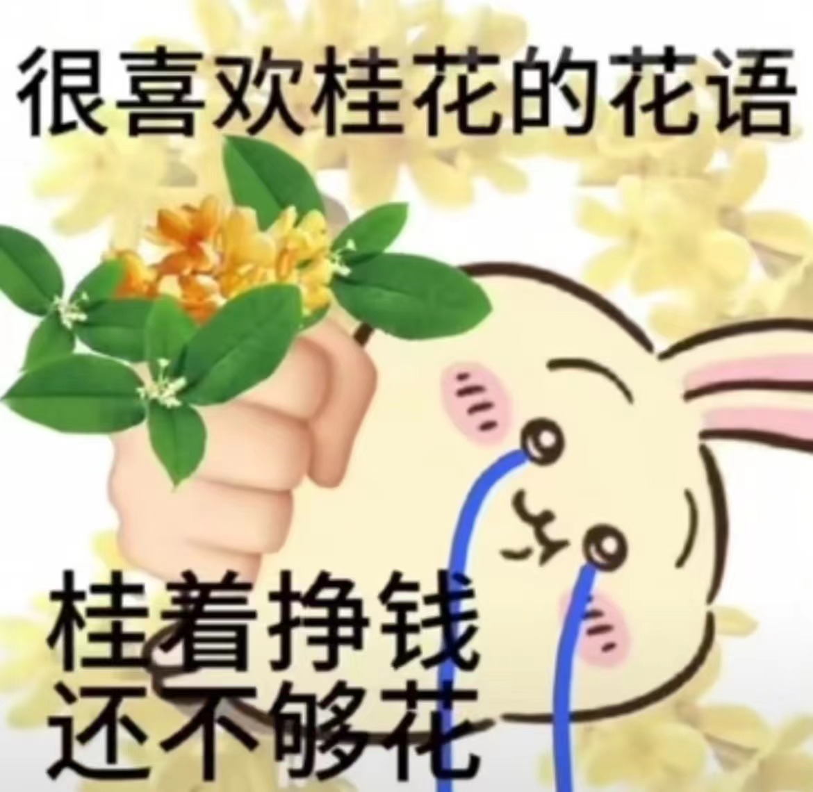 中听打工人新花语出道你属于哪一种