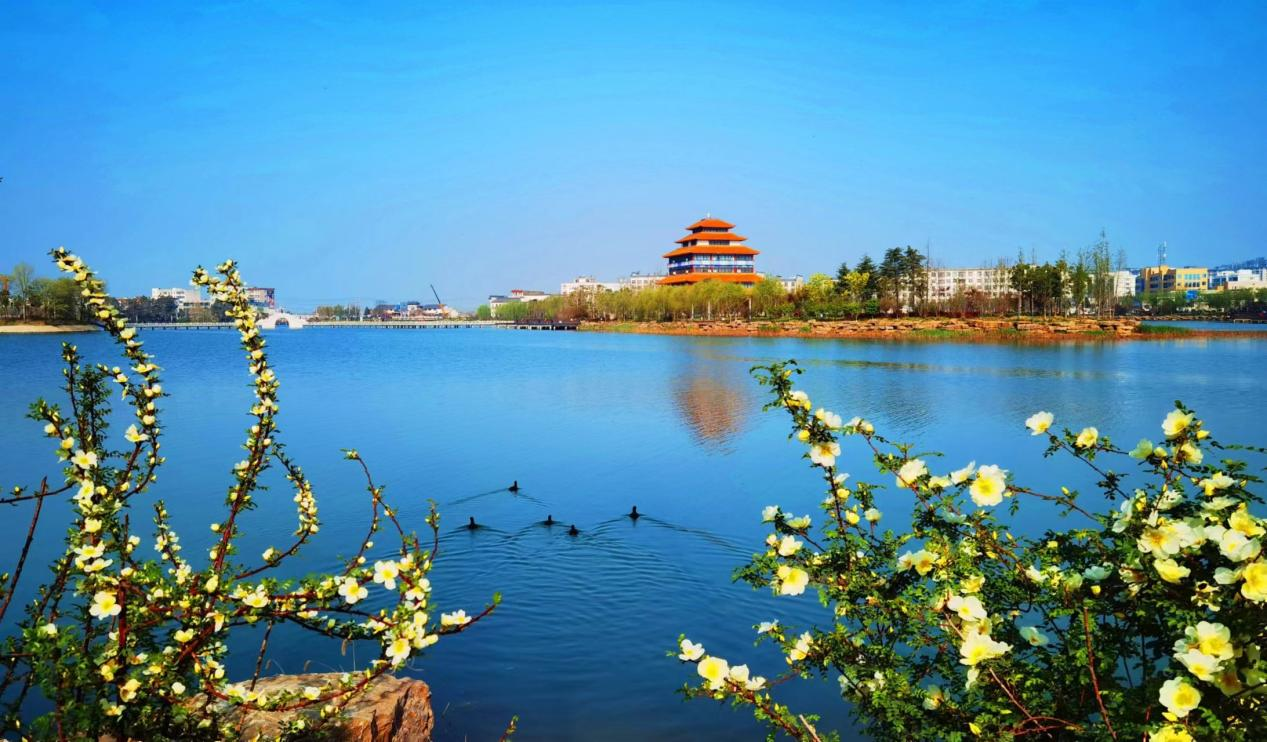 信阳市淮滨县花开春意浓游人乐赏景