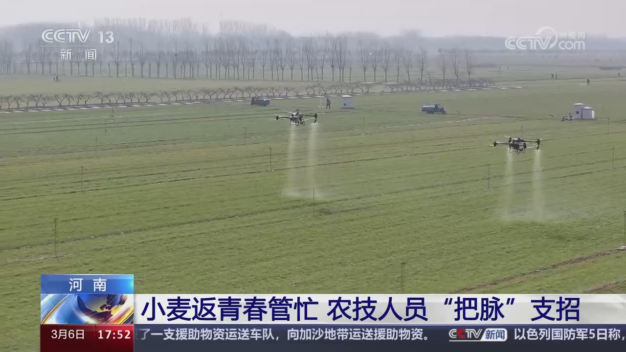 【央视关注河南】小麦返青春管忙 农技人员“把脉”支招