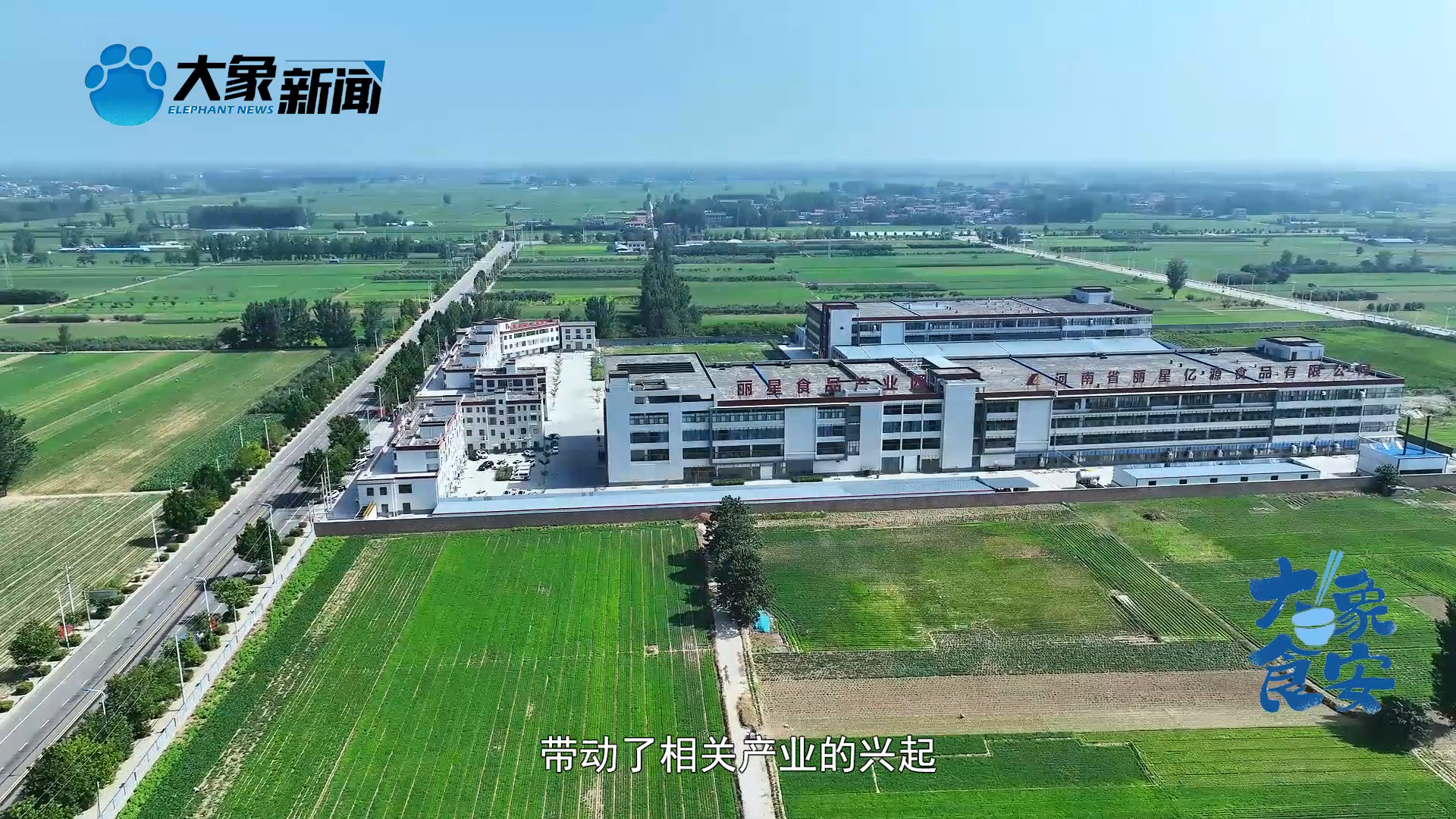 "酸辣粉之都":通许县如何成为中国美食的新坐标-大象网