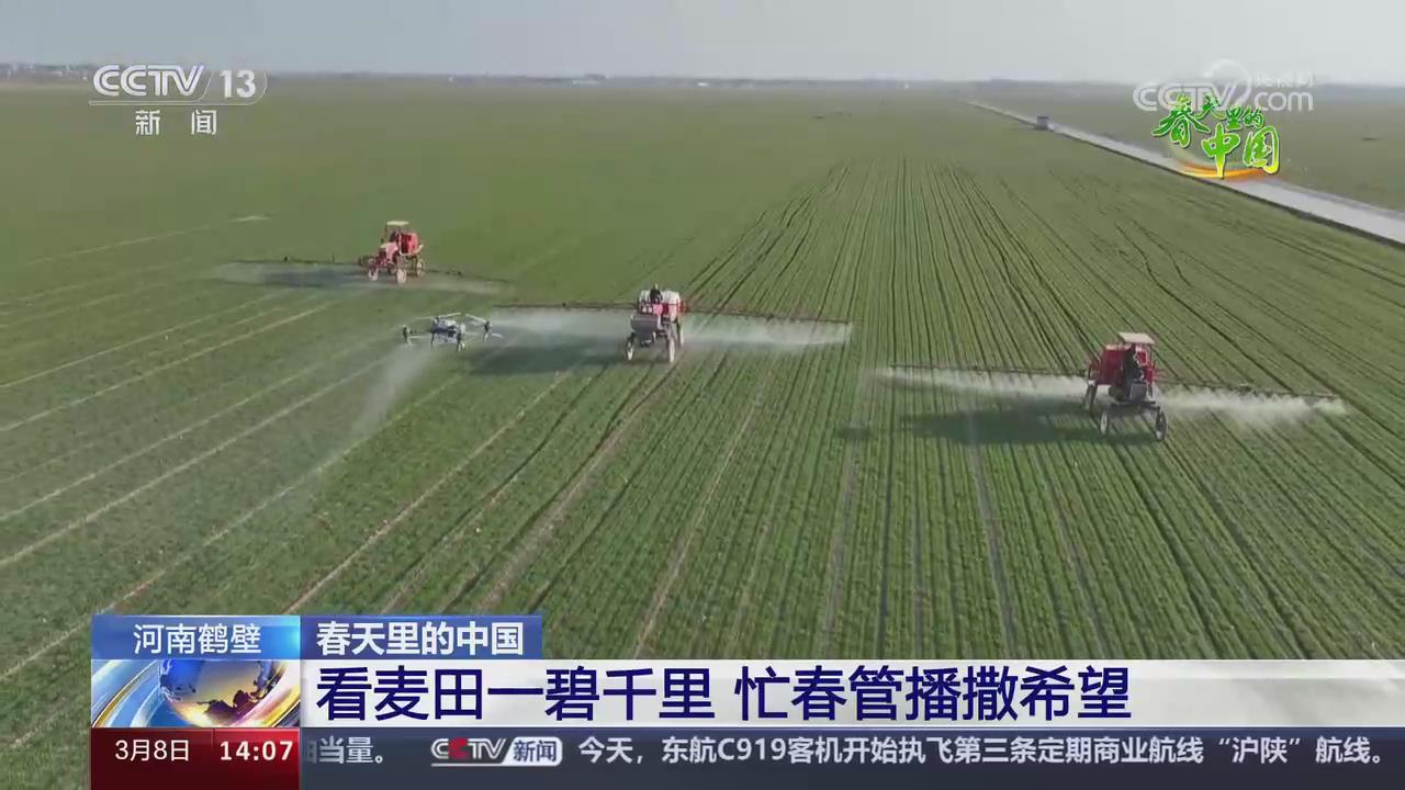 【央视关注河南】看麦田一碧千里 忙春管播撒希望
