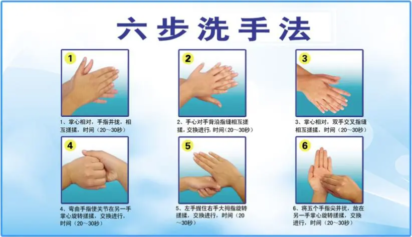 建议洗手过程使用"六步洗手法",每个步骤双手来回搓擦5次以上,以充分